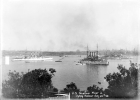 The Great White Fleet in Sydney Harbour