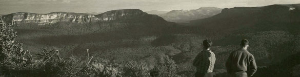 Panoramic view of Jamieson Valley from Sublime Point, Wentworth Falls, n.d. Digital ID 12932-a012-a012X2448000105